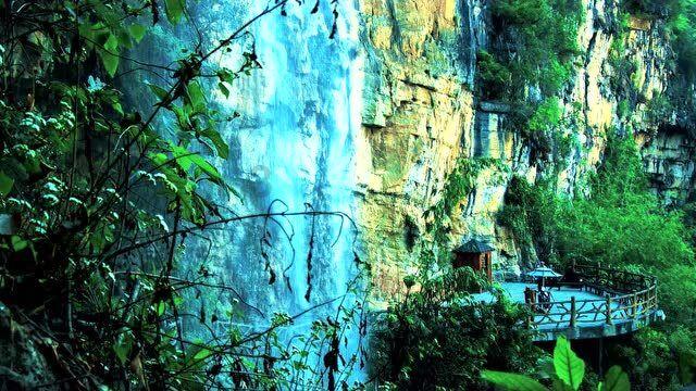 小猫钓鱼正版下载中文版